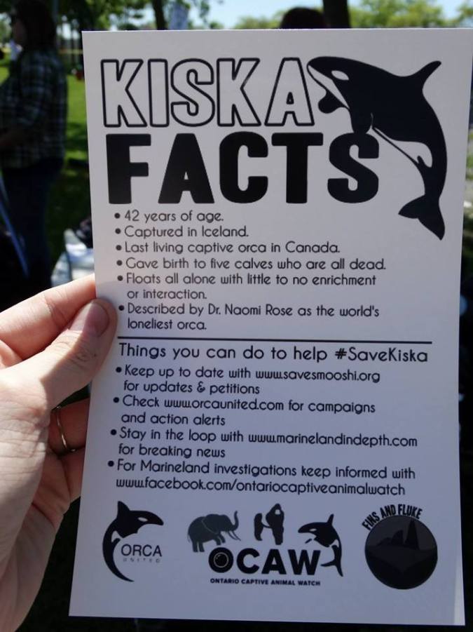 Kiska Facts